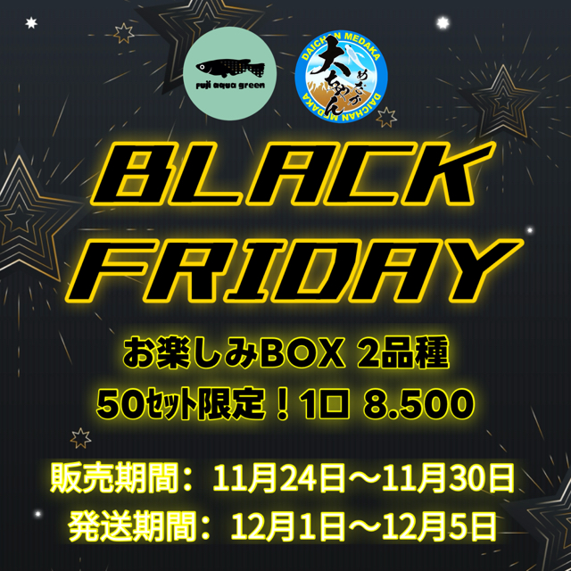 BLACK FRIDAY!! 50セット限定‼️ お楽しみBOX(2品種)