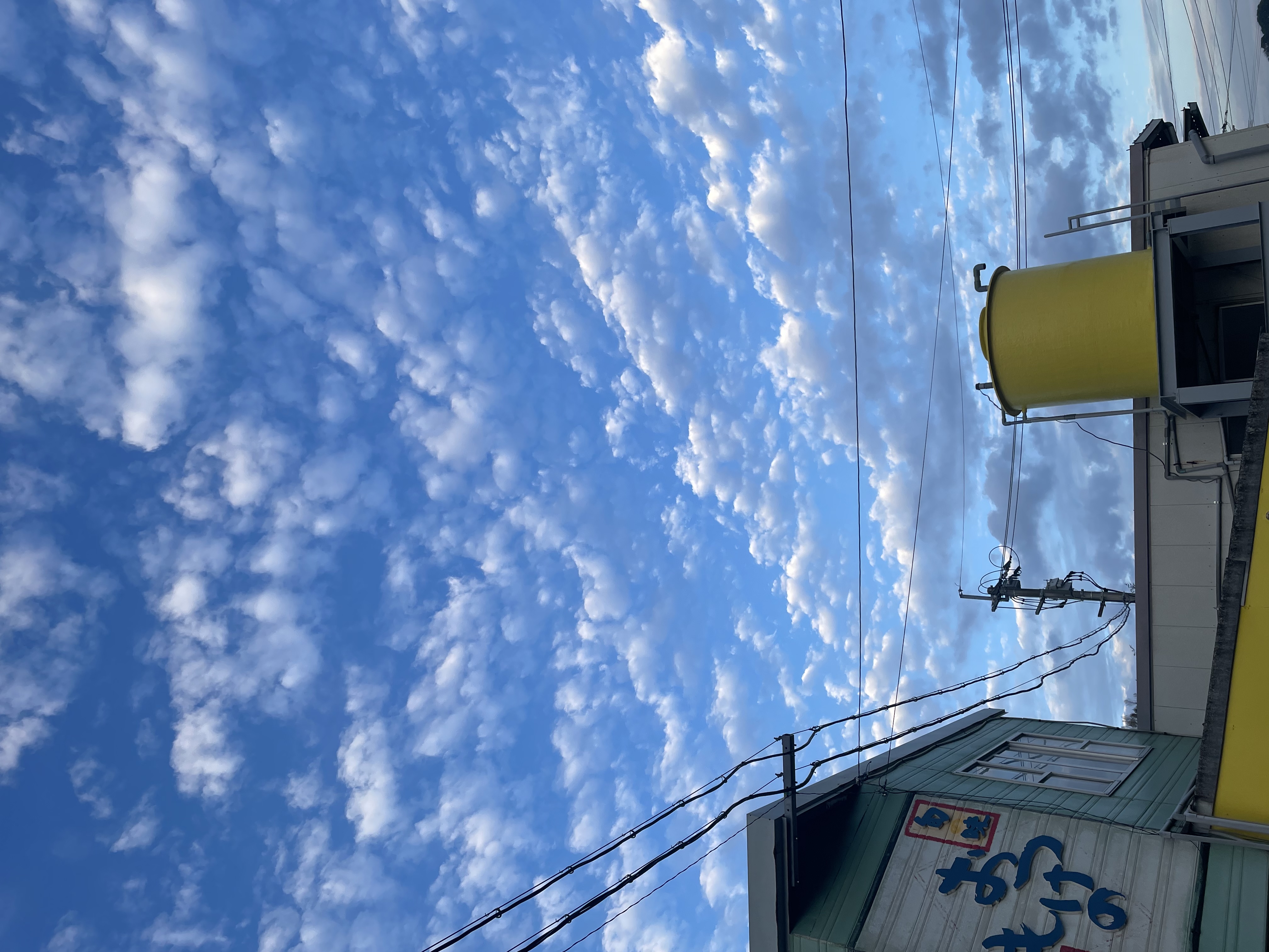 勤労に感謝とは。