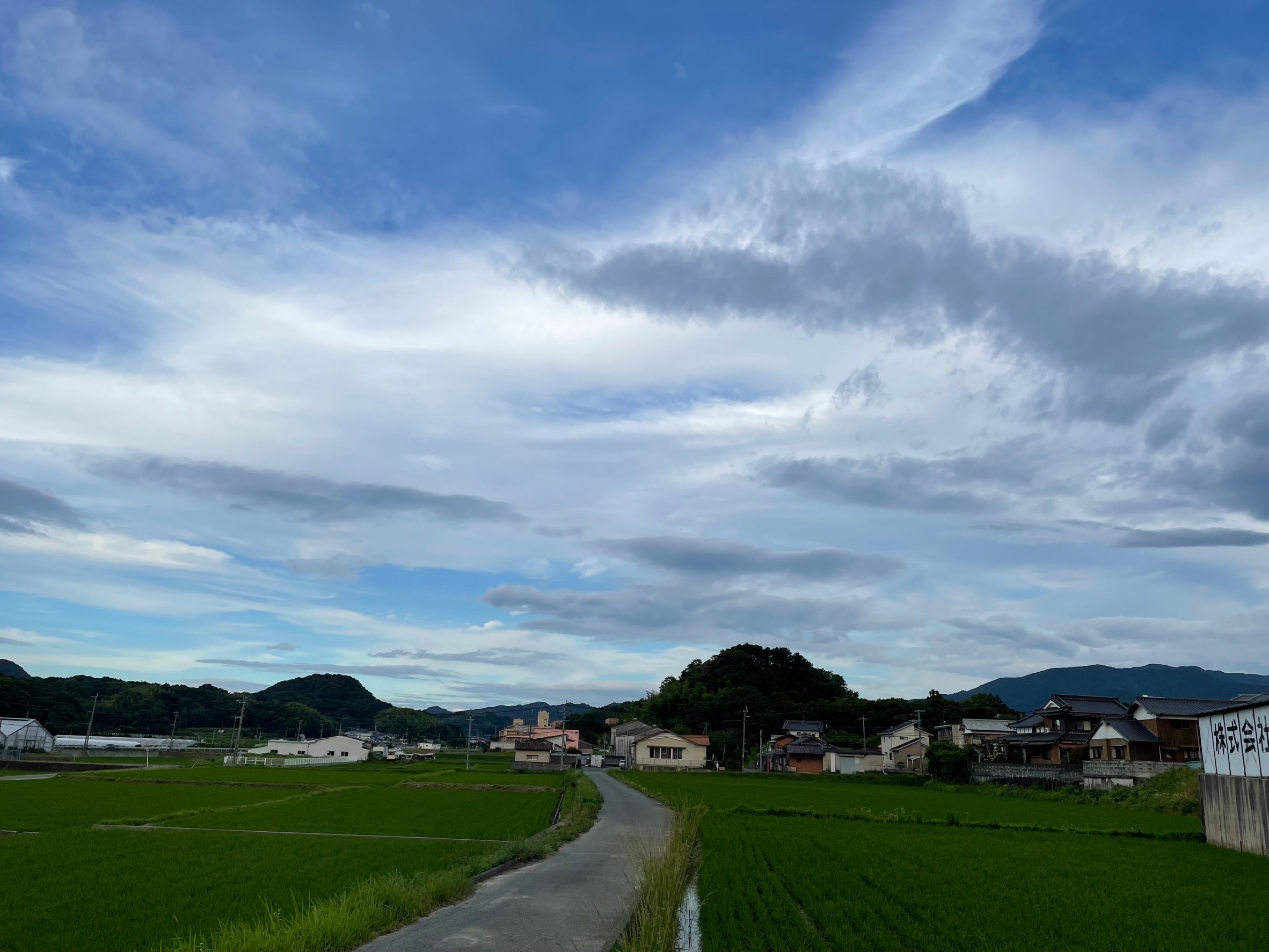 これから。
