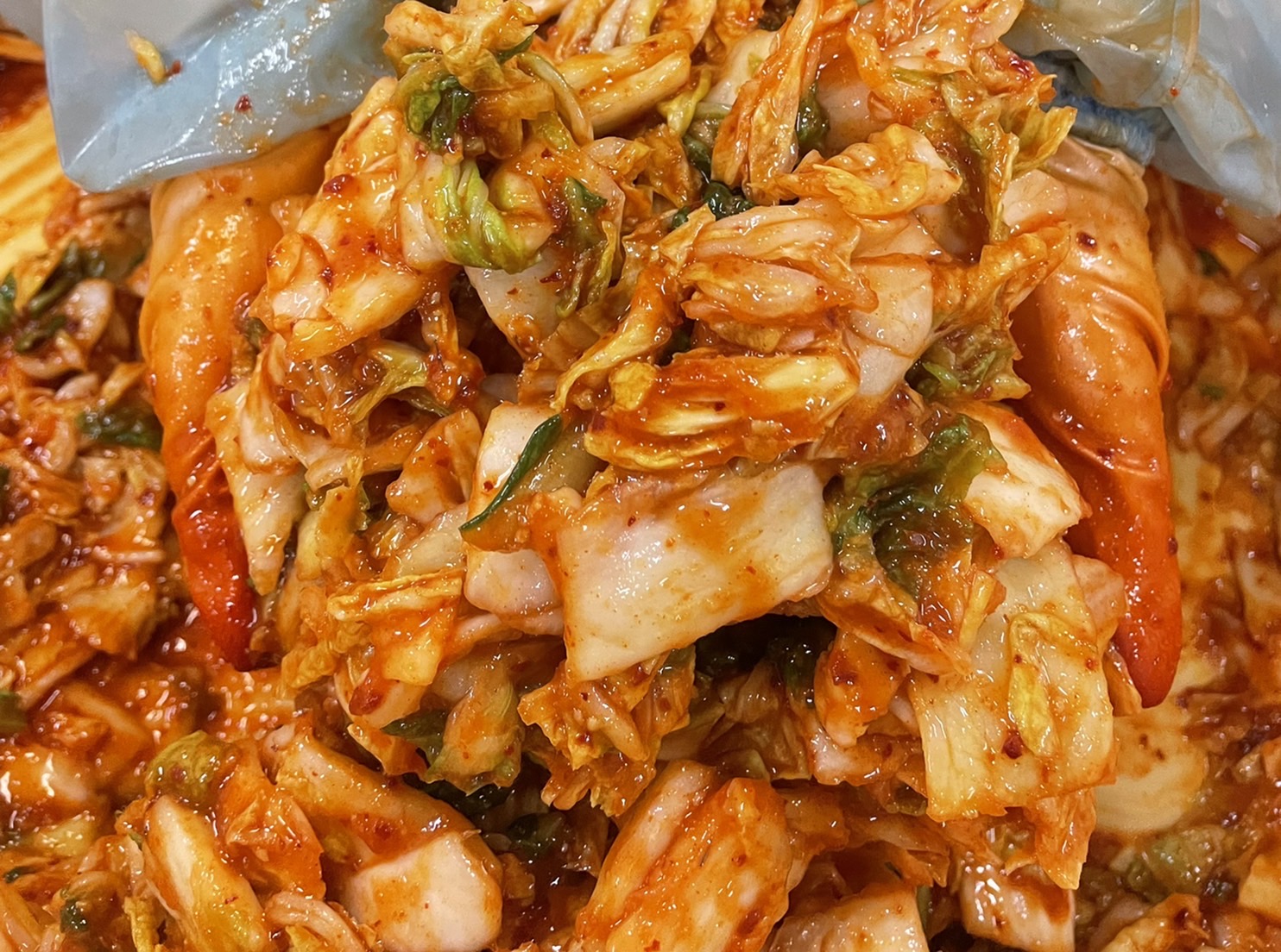 白菜の旅。