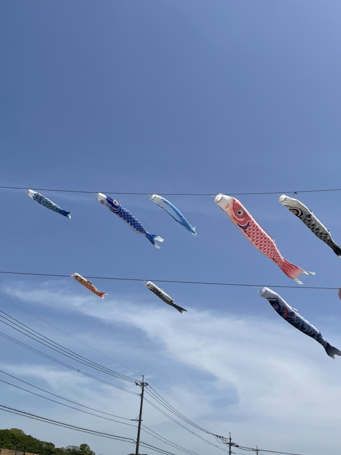 晴れの日ごはん。