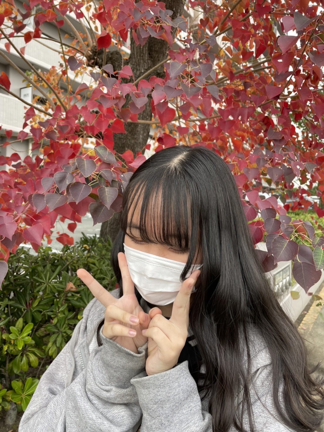 色づく季節。