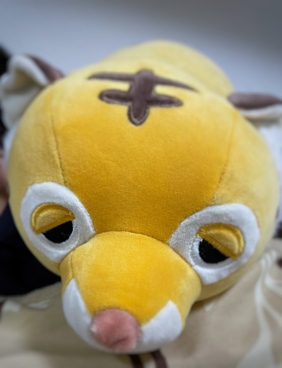 うれしい知らせ。