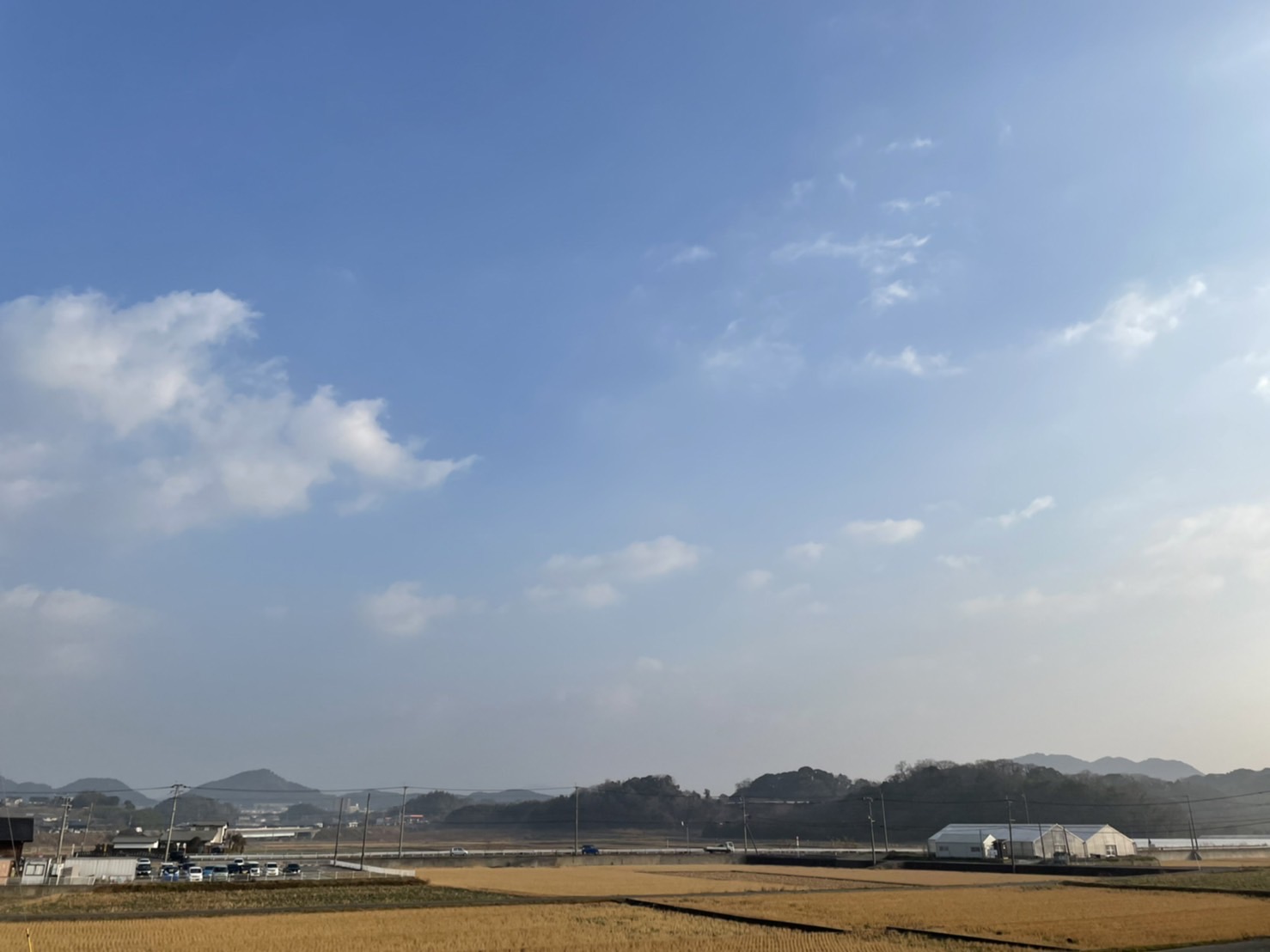 靴下。