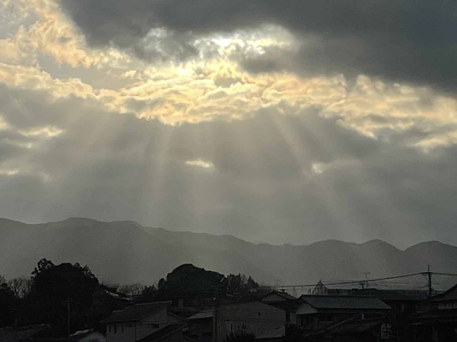朝の風景。