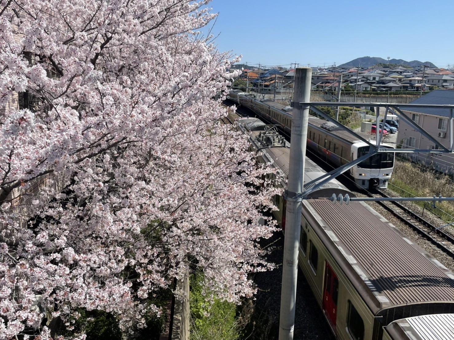 ひとりごと。