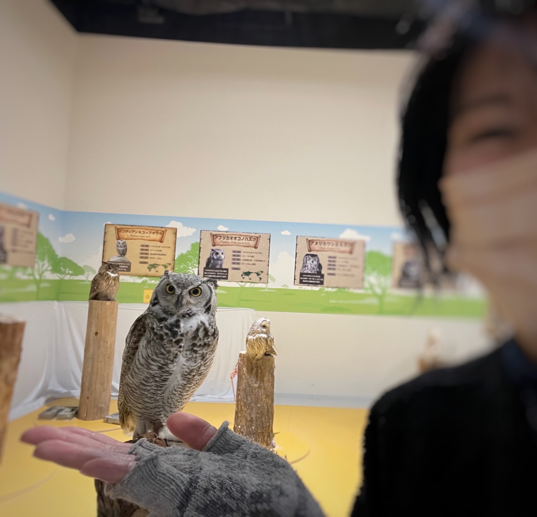 苦労知らず。