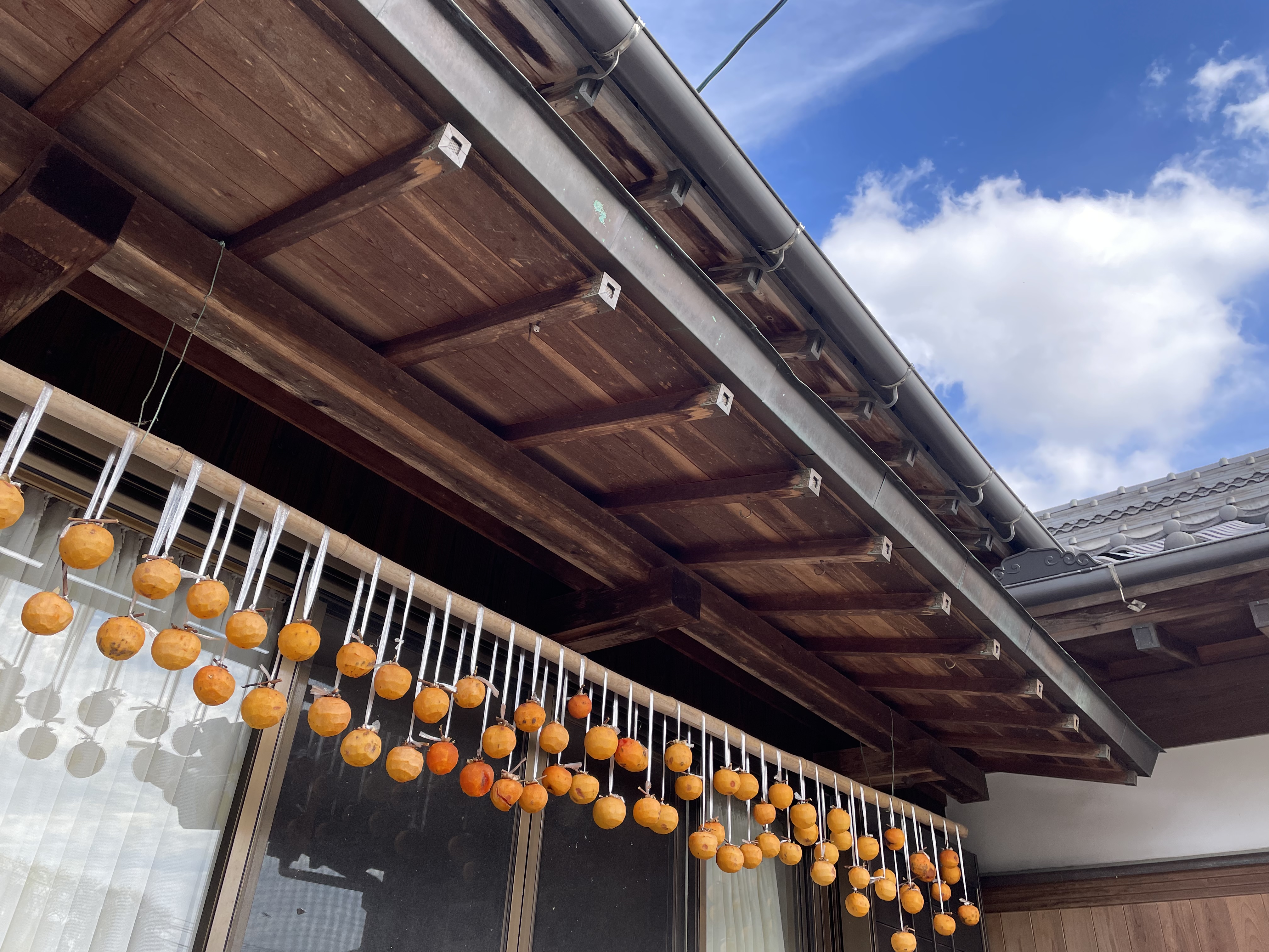 こんにちは11月。
