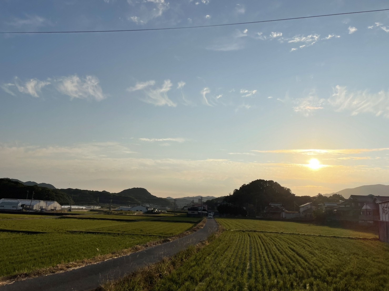 早朝出勤。
