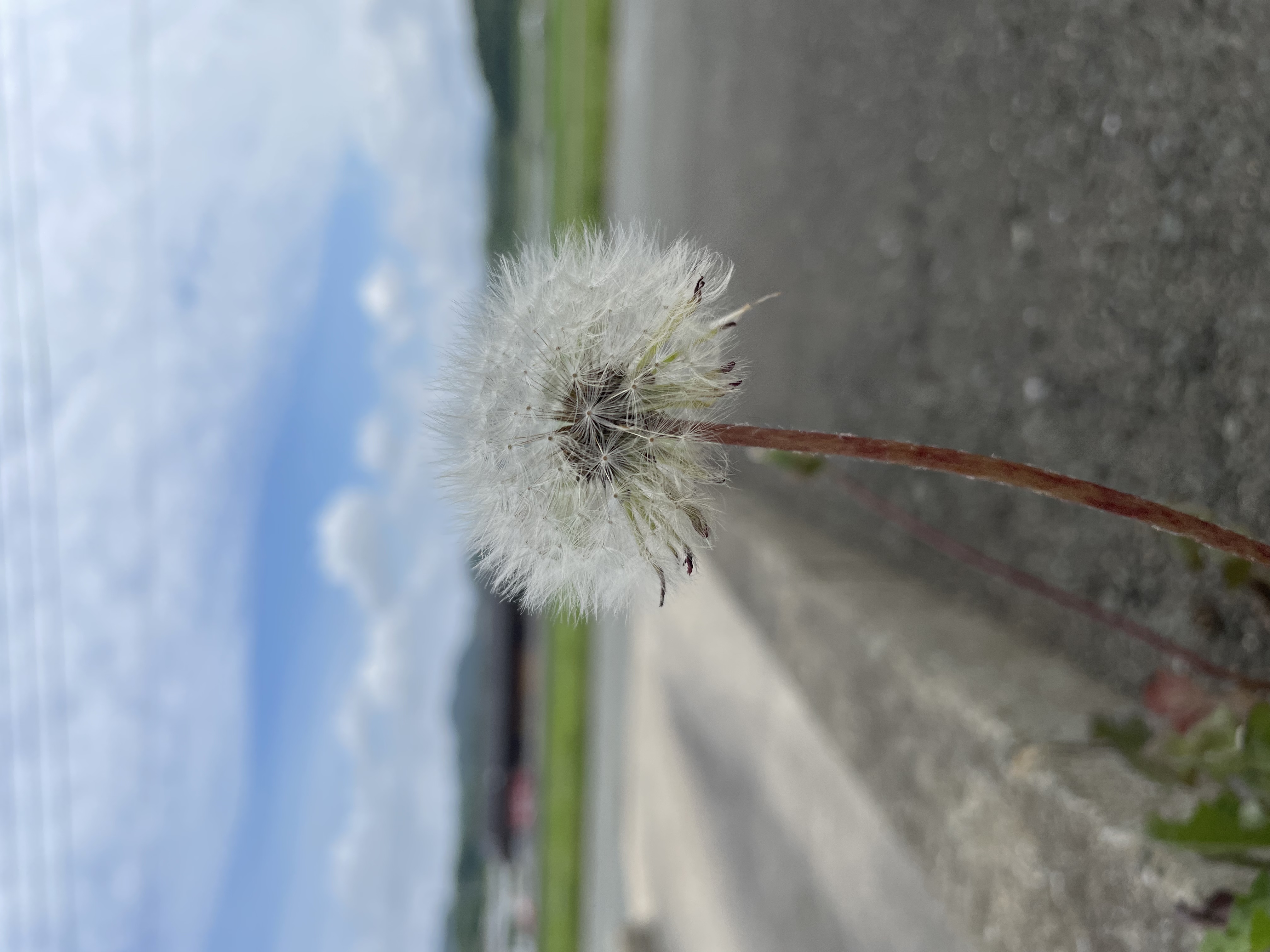 7月デス。