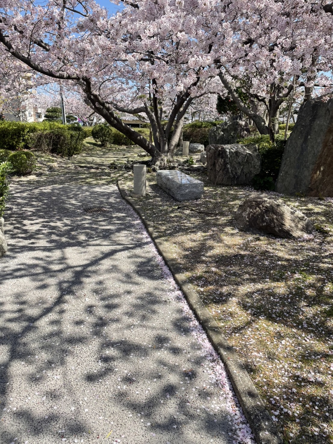 ご都合主義で行こう。