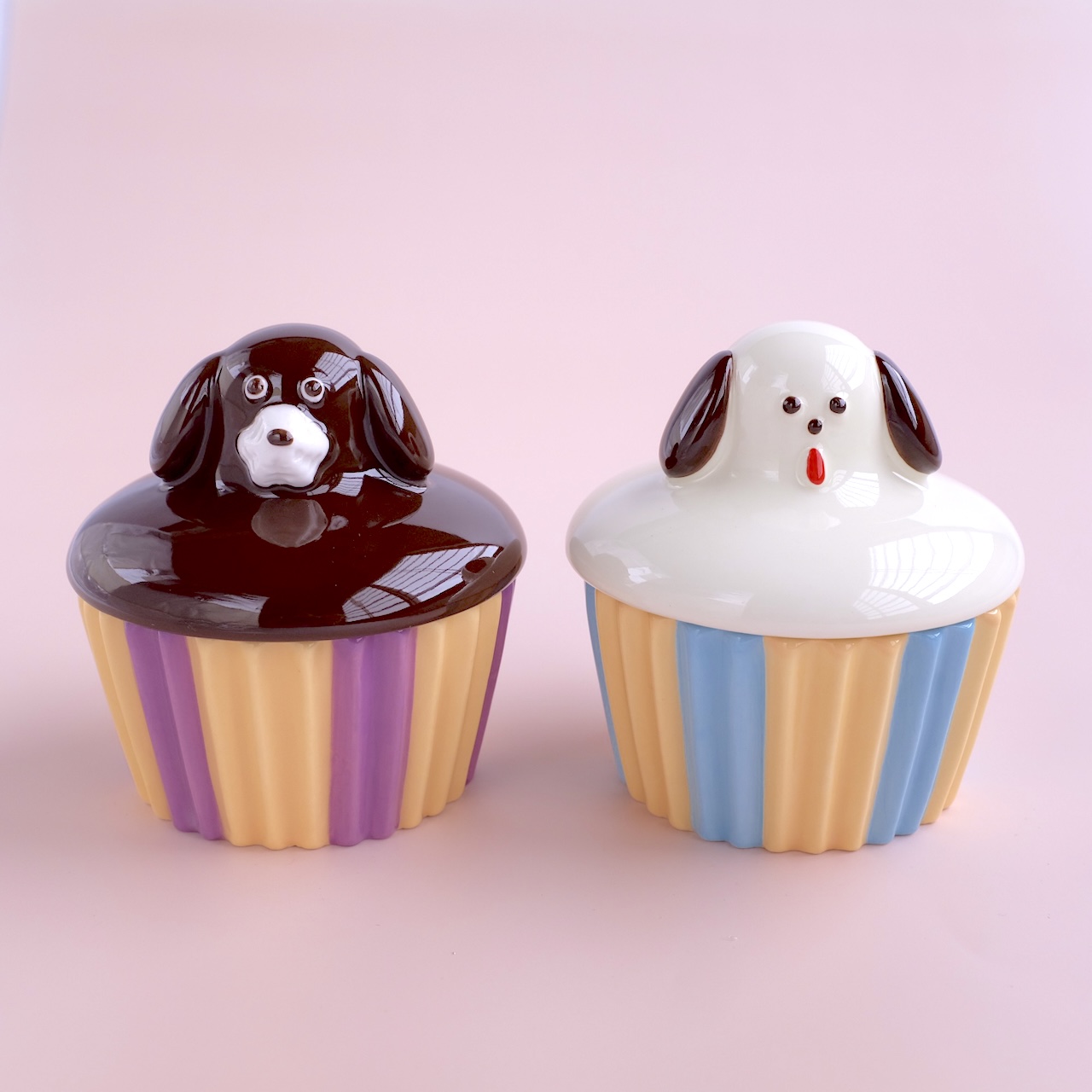 🍽️ Maison terrier 入荷のお知らせ 🍽️