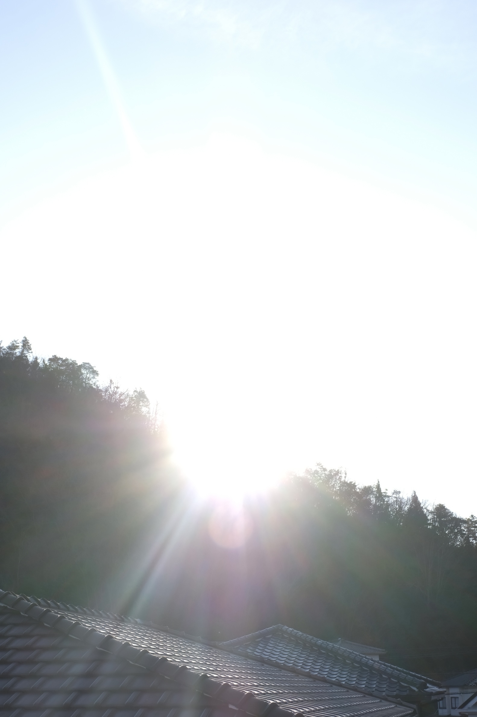 新年もありがとうございます🐴💨