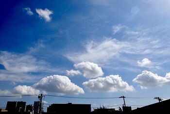 2022年10月5日、レジバックゼロデー。自醸蔵ができたらやりたいことをつぶやいてみました…ｗ