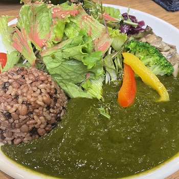 2022年9月16日、オゾン像保護の国際デー、カラダを整える食事、クロレラべジカレー！！！