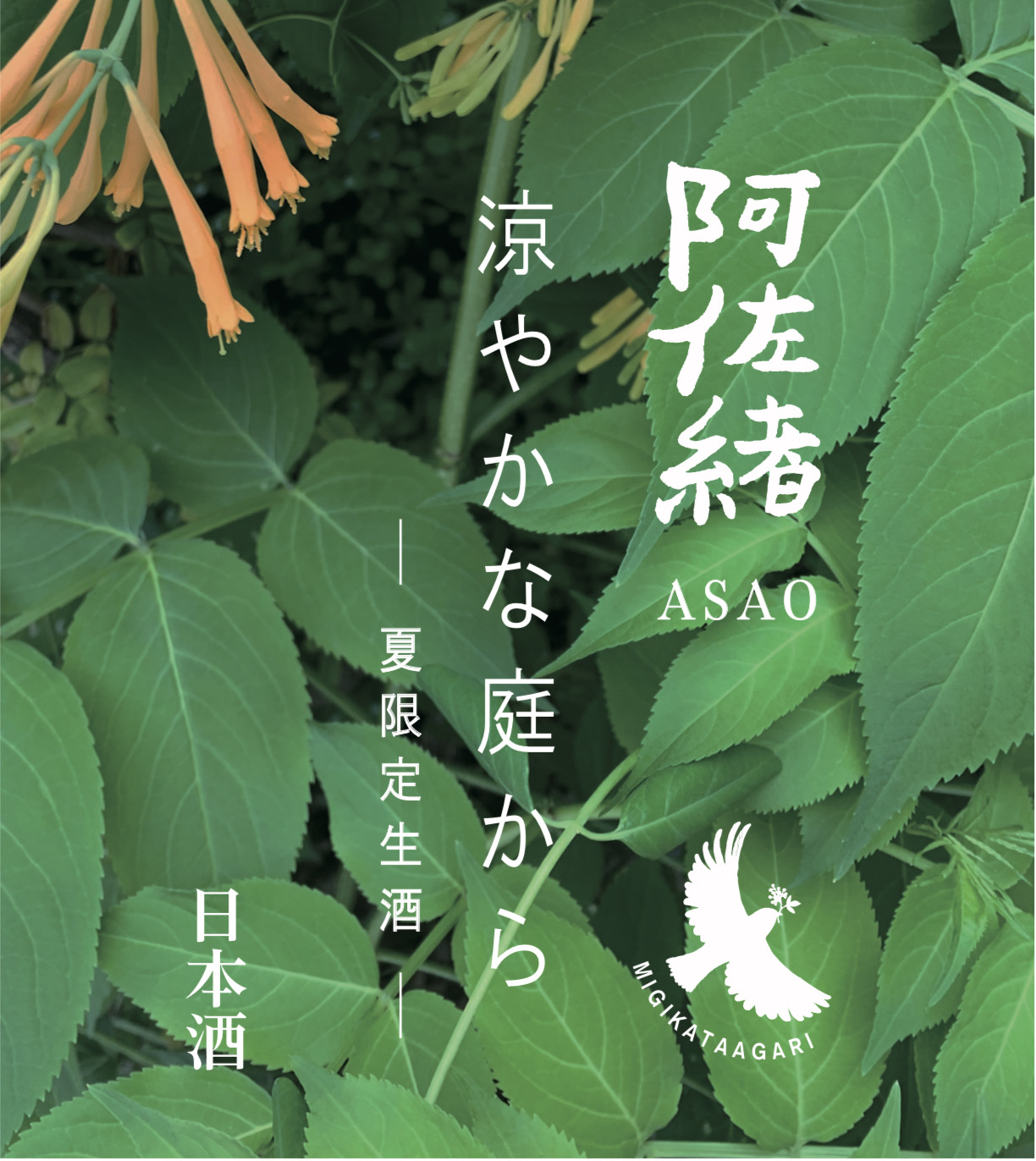 2022年5月5日、二十四節気の立夏のはじまり、端午の節句、そして母の日の準備は整いましたか？