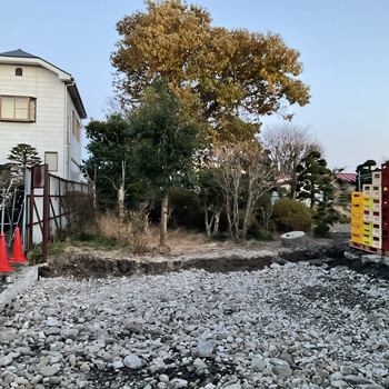 【小雪・末候】橘始めて黄なり（たちばなはじめてきなり）久しぶりに本社入り、旧麹室解体しました！　