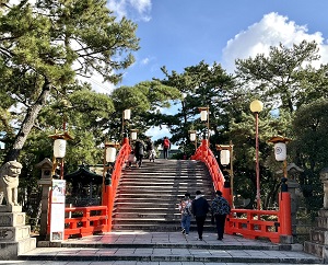 2022年1月5日、本日より小寒、今日は初出荷、超・限定福袋販売中でございます。