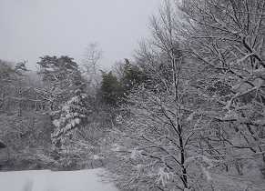 2022年2月24日、七十二候で雨水の次候　霞始めてたなびく…今日はメルマガ出しますよ～。