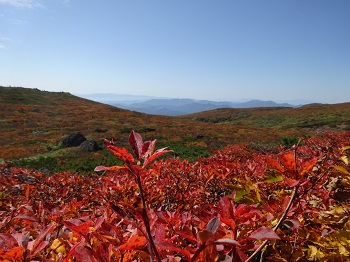 2022年10月3日、登山の日。タイミングよくお天気に恵まれ初めて栗駒山登ってきました。
