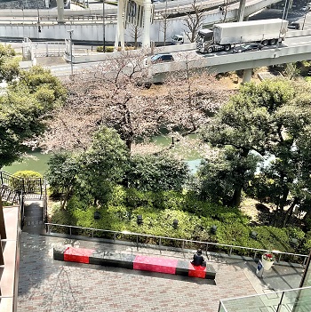 2022年3月25日、春分の次候、本日より七清水農園醸造所の感謝デーはじまります！