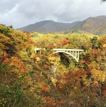 2022年9月30日、紅葉の見どころ発表日。今年は観られるかな？栗駒山の紅葉。