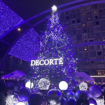 【立冬・末候】金盞香し（きんせんこうばし）。2024年初めてのクリスマスツリーは、渋谷にて。