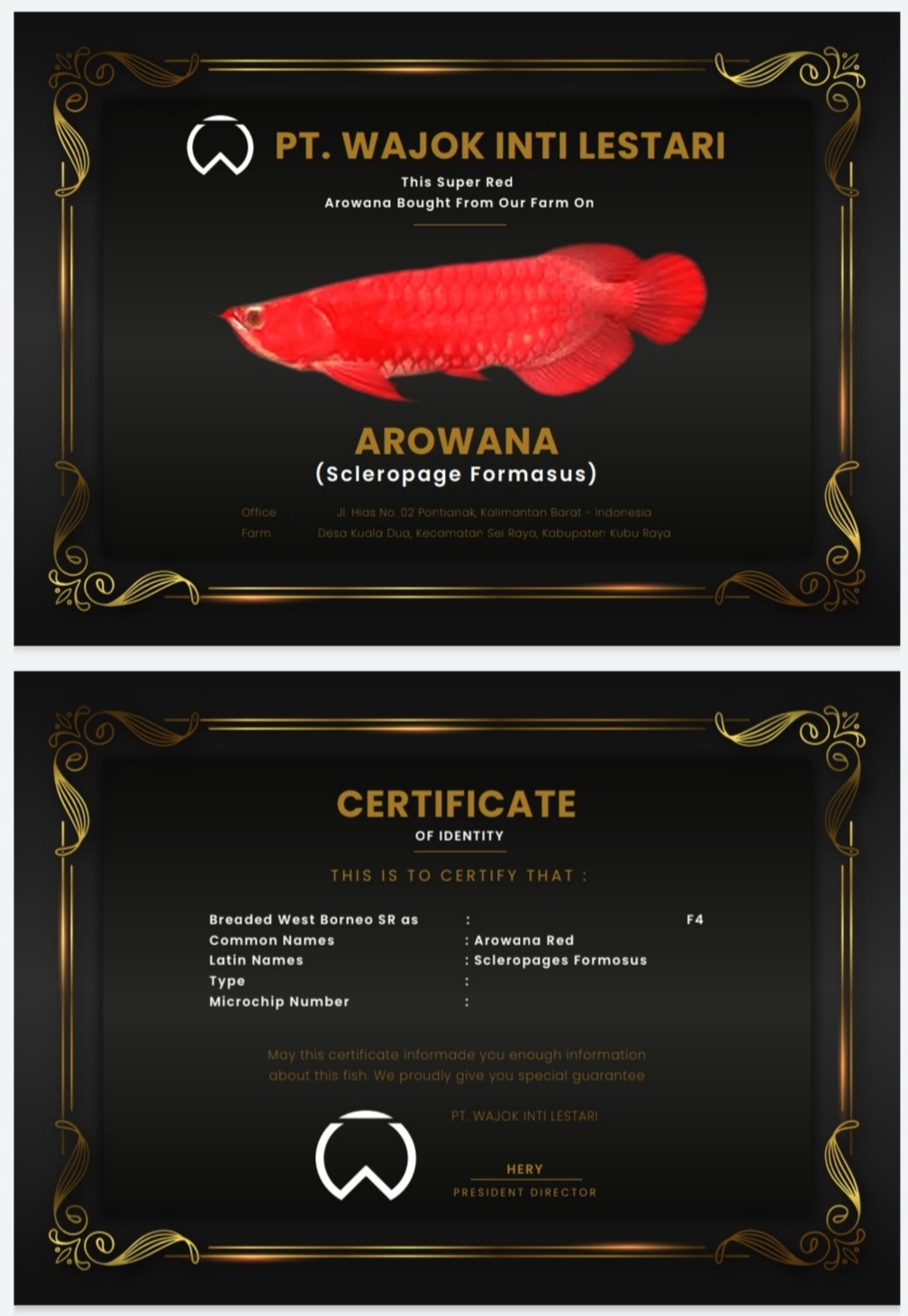 Certificate来週末到着(*T^T)