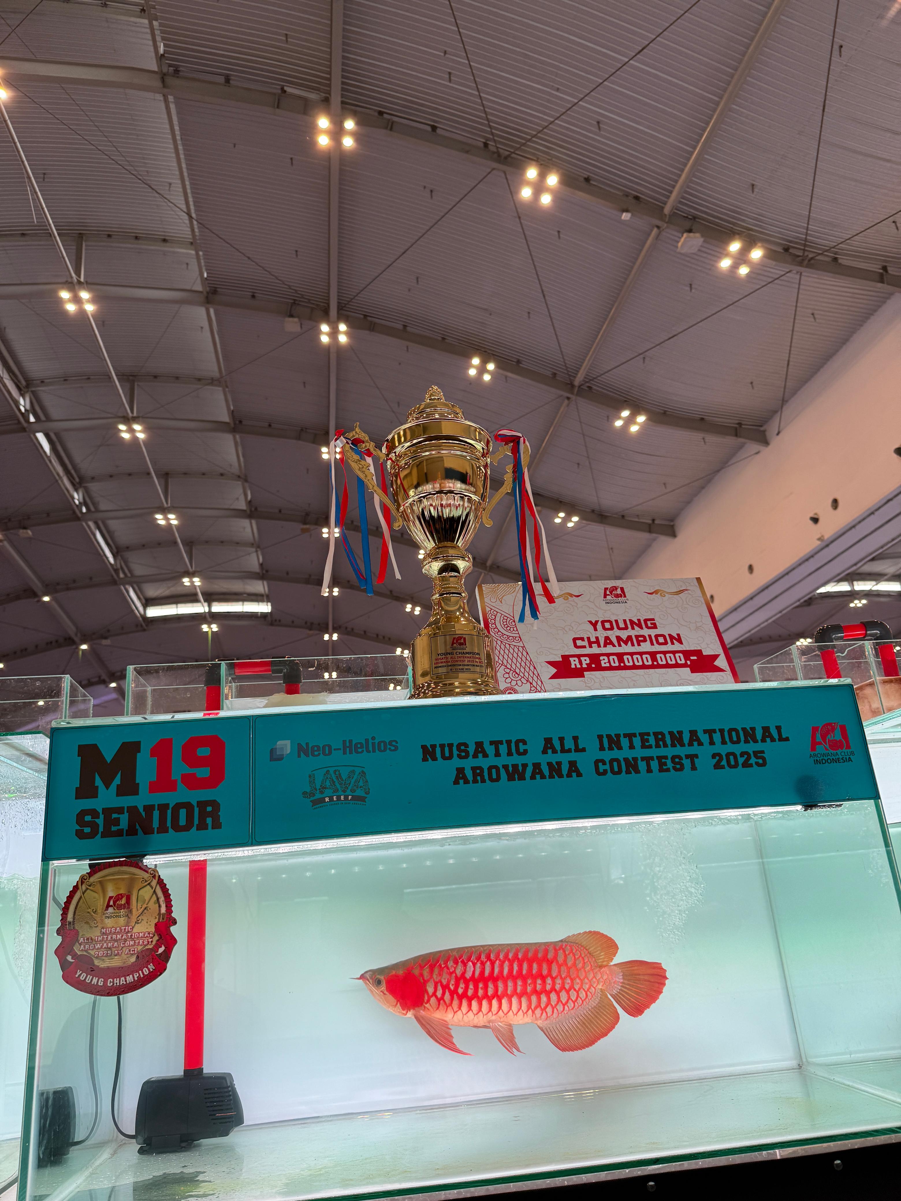 🏆️Champion獲得🏆️「AIC cup 2025」
