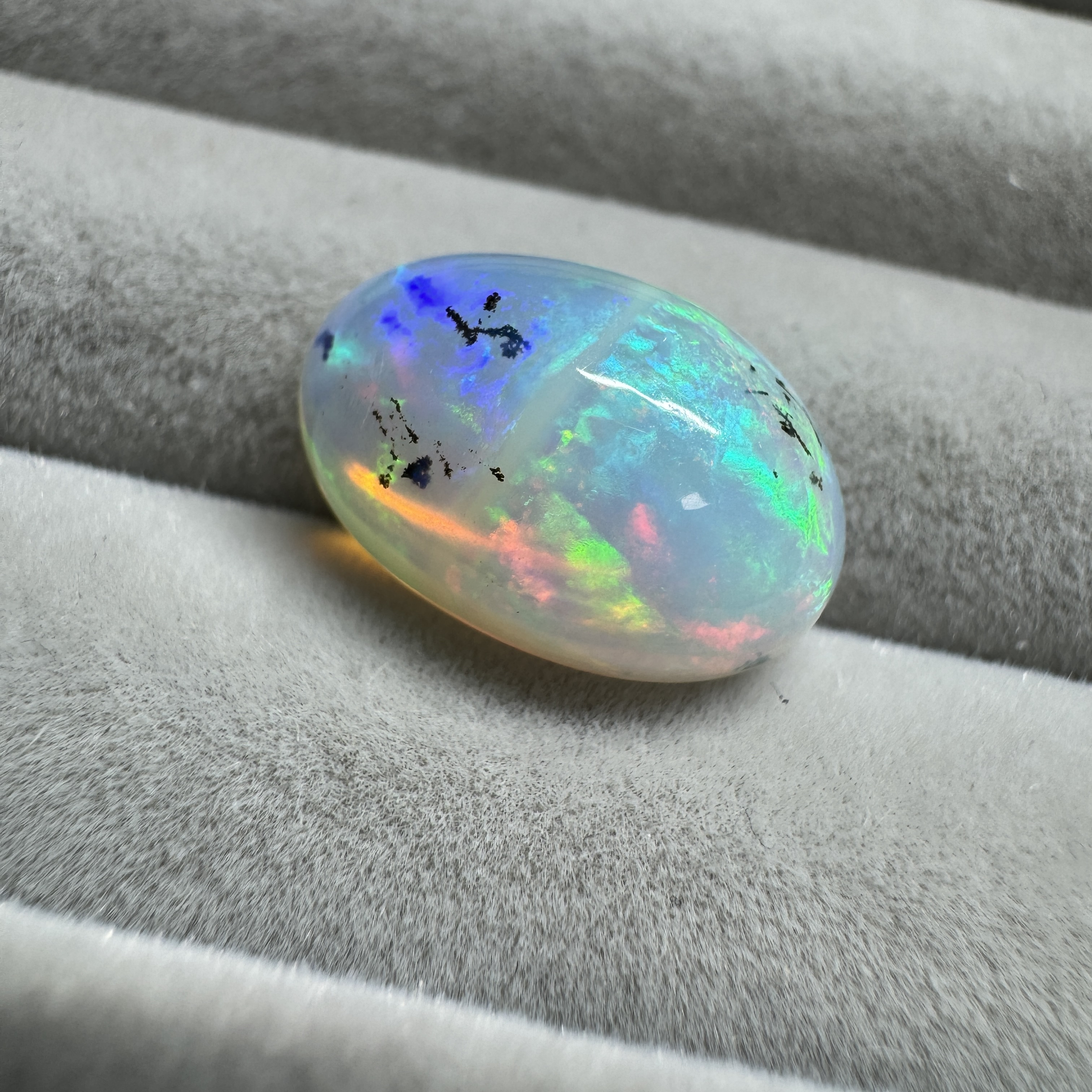 最高なデンドリックオパール抽選開始✨