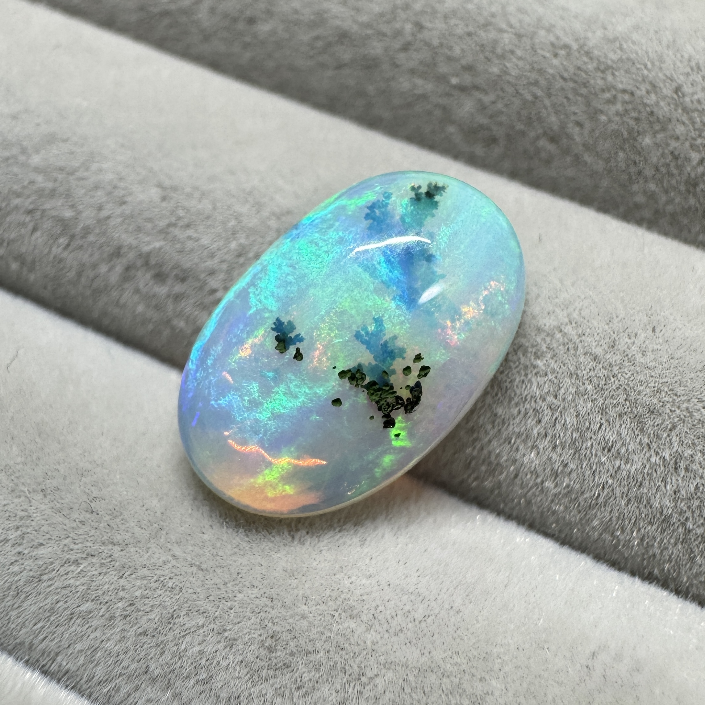 デンドリックオパール抽選開始！！