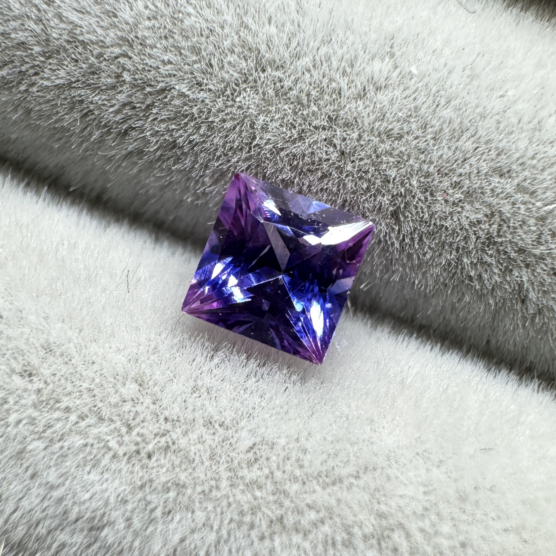 最高カラーのバイカラーサファイア！抽選販売が始まります！