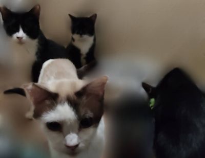 メルカリショップ審査に通過しました