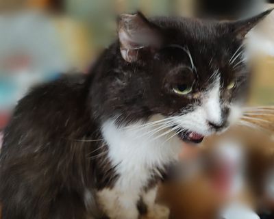 相変わらずバタバタしてます