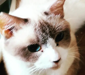 現在開店準備中です