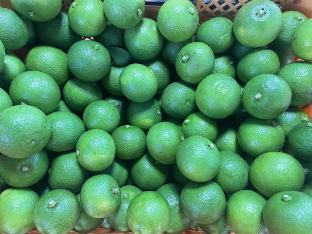 本日、グリーンかぼす最終受付です！！