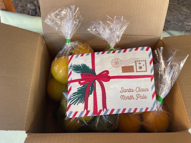 クリスマスのプレゼントに、年末年始のご挨拶に「柑橘セット」はいかがですか?