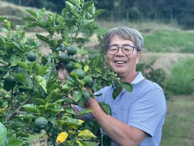 2025年かぼすの販売がスタートします(*^^)v