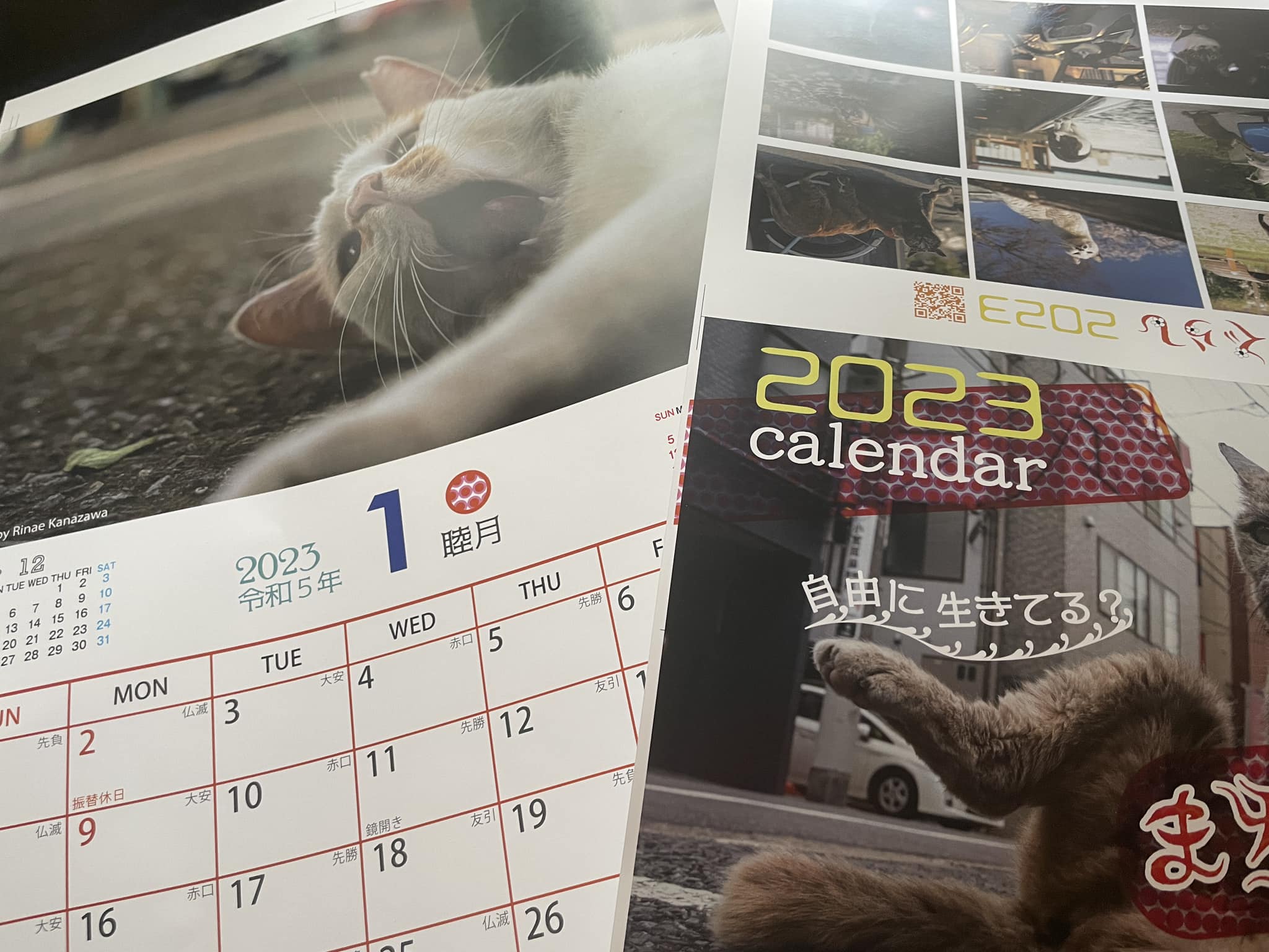 2023年版　まちねこカレンダーテスト印刷
