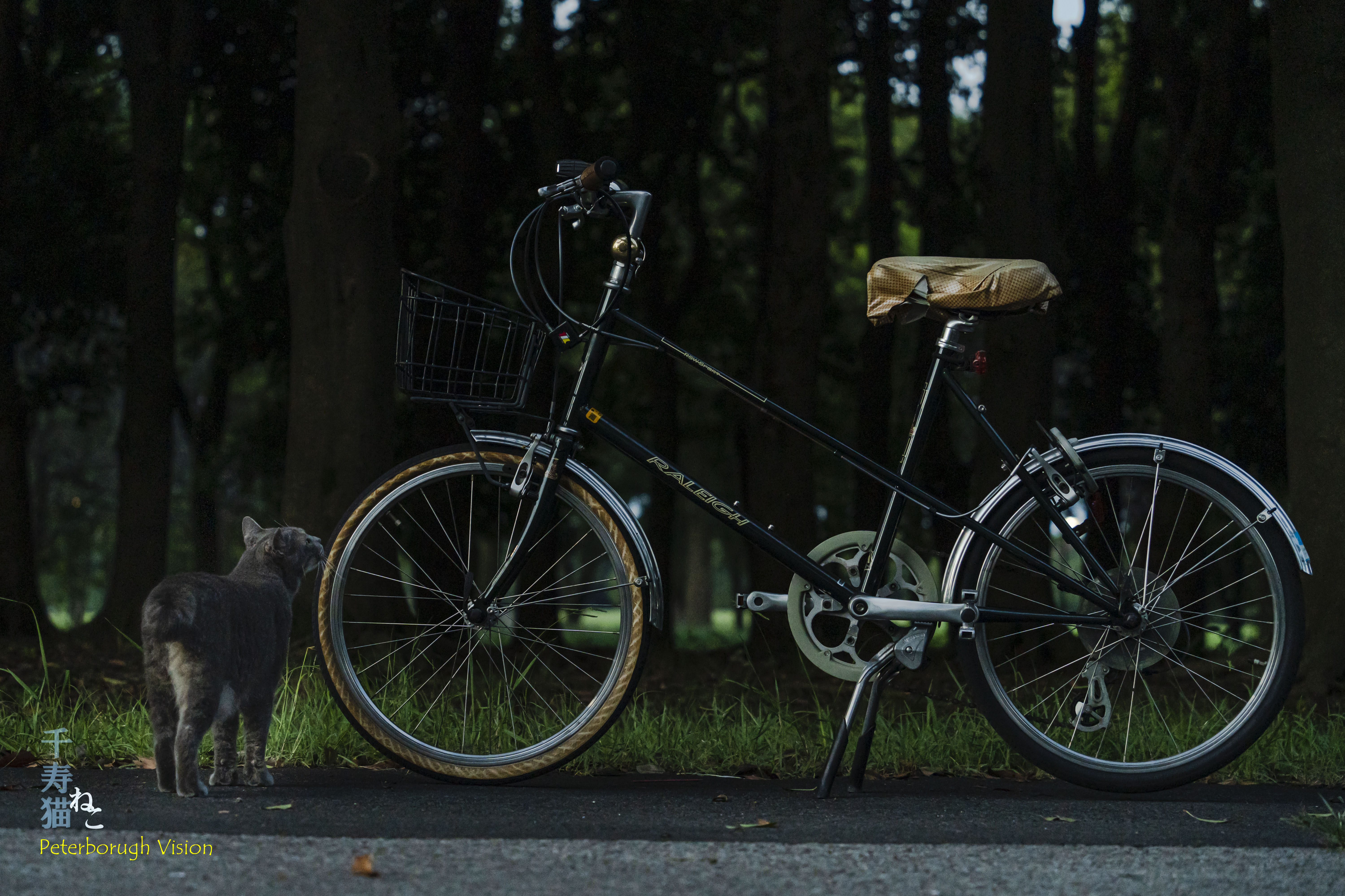 自転車に憧れる。