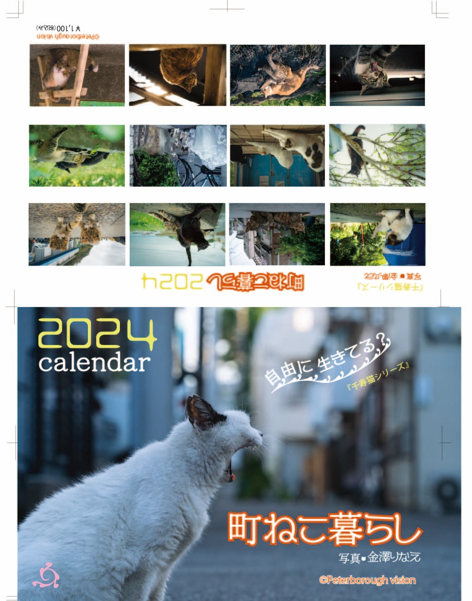 ２０２４年版「まち猫カレンダー」