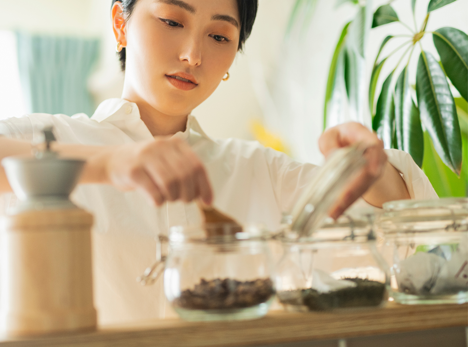 毎日の1杯を「特別な時間」に。定期便初めての方に嬉しい「スタータープラン」！