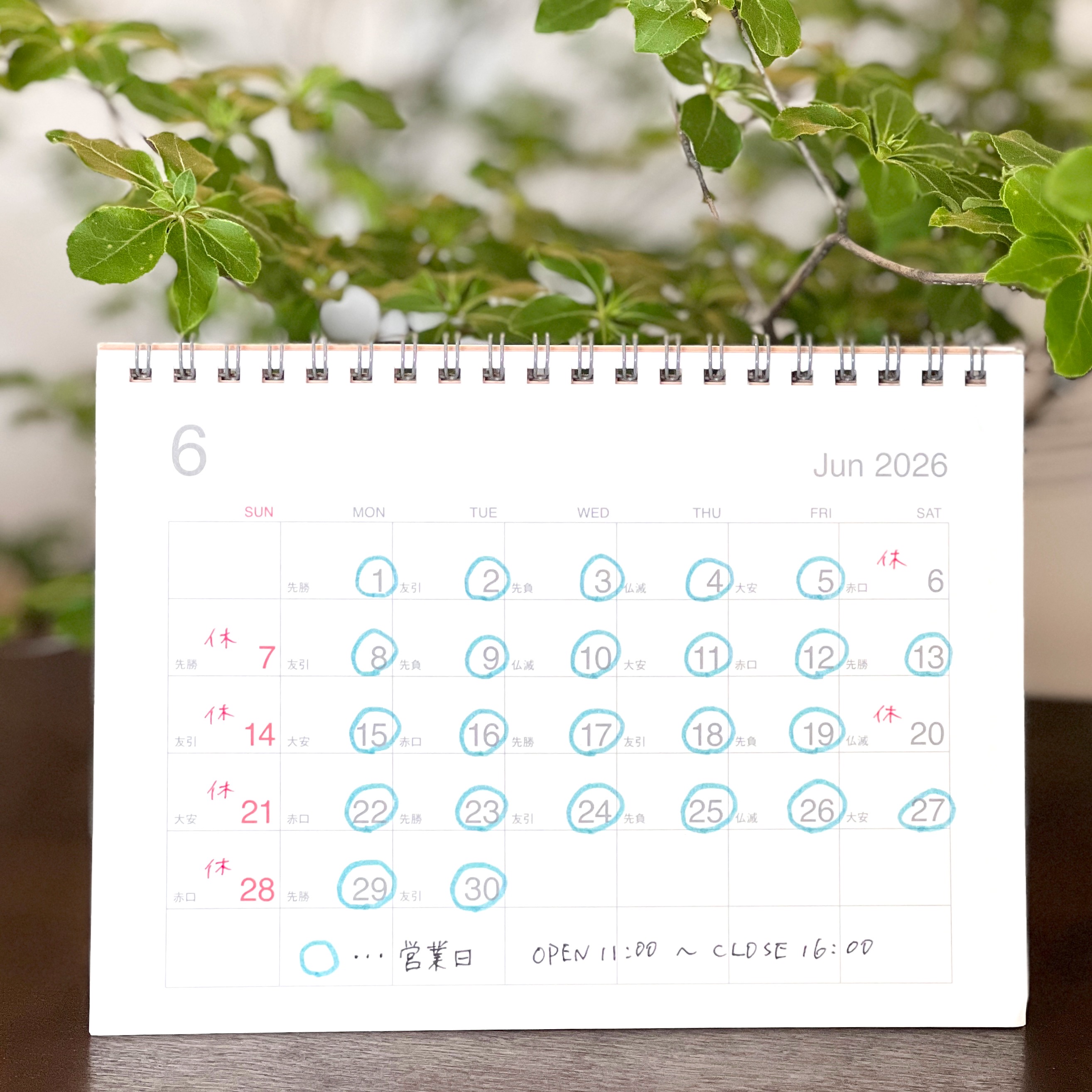 2026年 6月の営業日