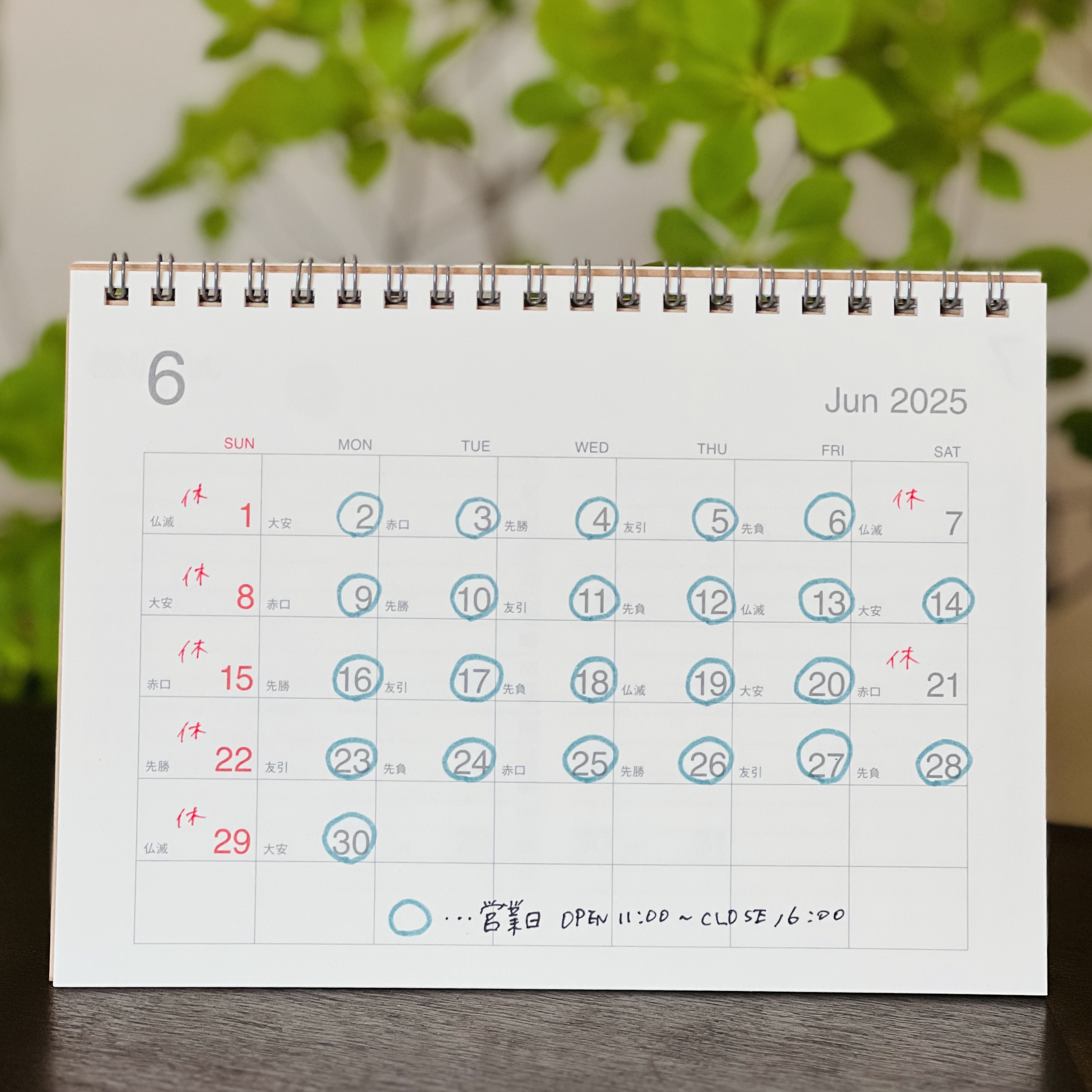 2024年 6月の営業日