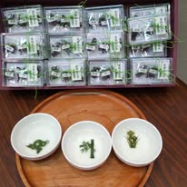 夏物語昆布