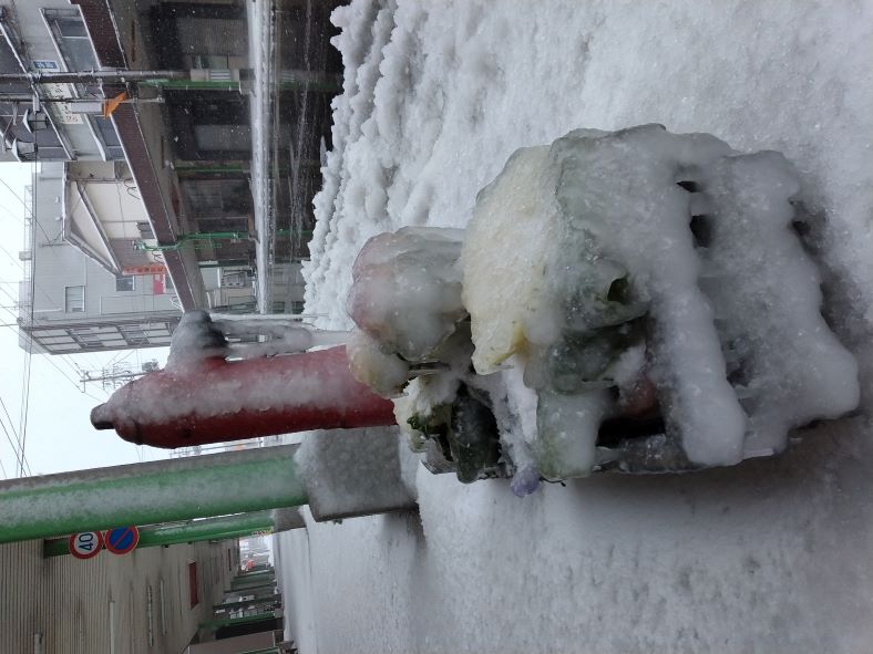 大寒波襲来⛄