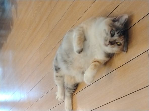 暑いですね🥵