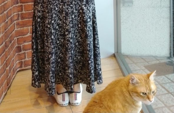 写ってますよ😽