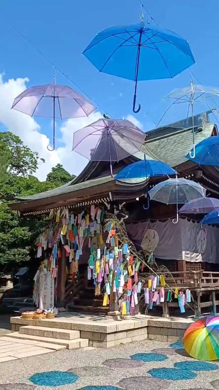 八幡宮で七夕祭りです🎋