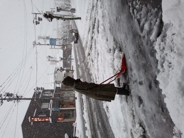 今日は雪です⛄